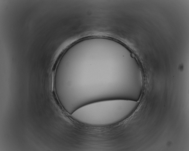 X0000097851223200803140849