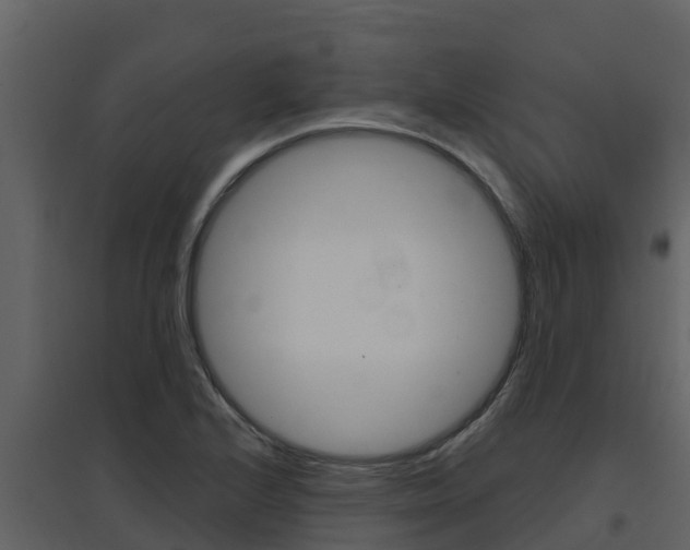 X0000097851224200803140849