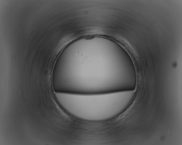 X0000097851225200803140849