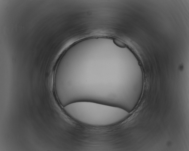 X0000097851227200803140849