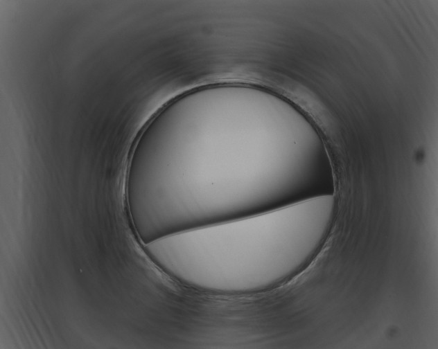 X0000097851228200803140849