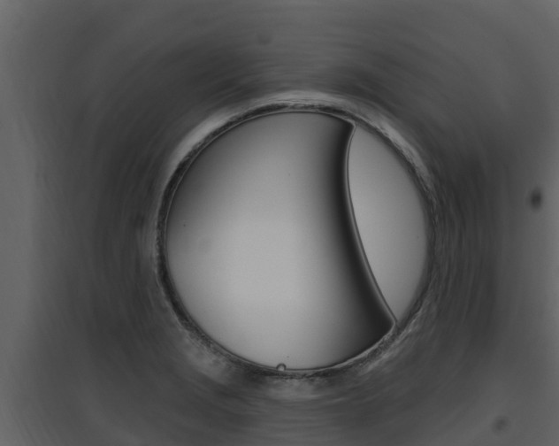 X0000097851229200803140849