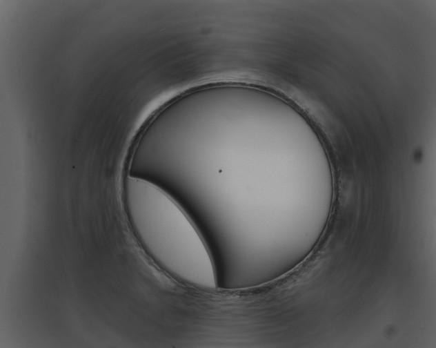 X0000097851230200803140849