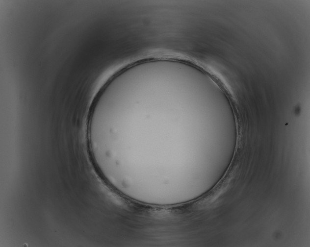 X0000097851231200803140849