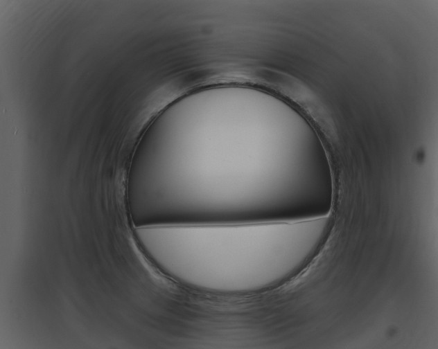 X0000097851233200803140849