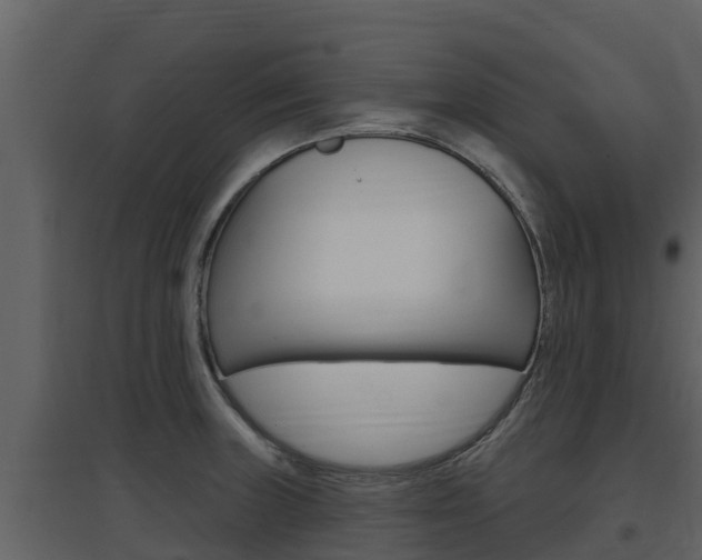 X0000097851235200803140849