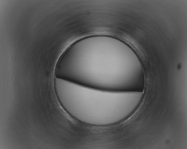 X0000097851236200803140849