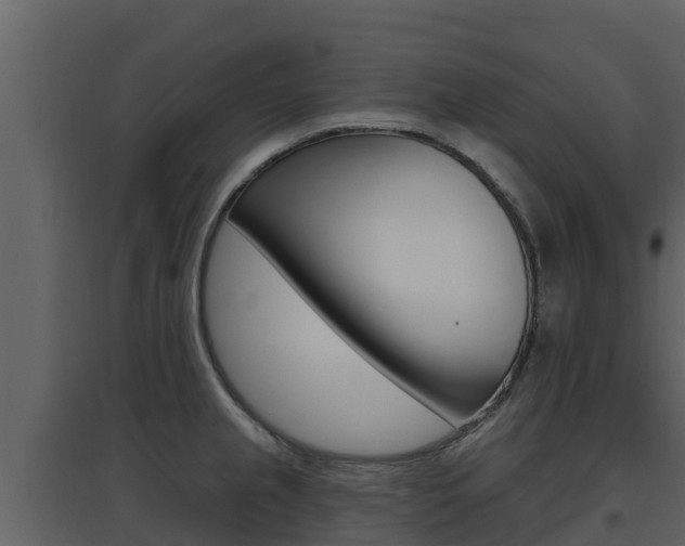 X0000097851237200803140849