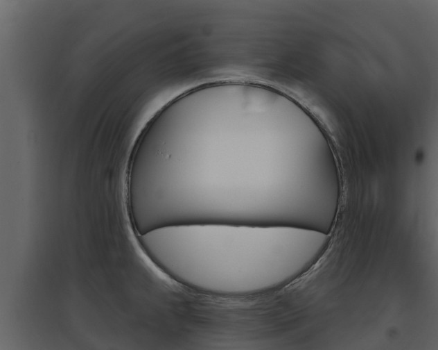 X0000097851239200803140849