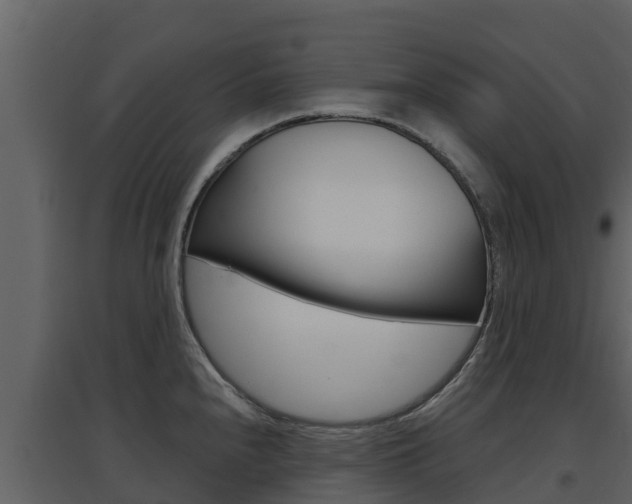 X0000097851240200803140849