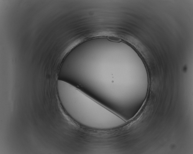 X0000097851241200803140849