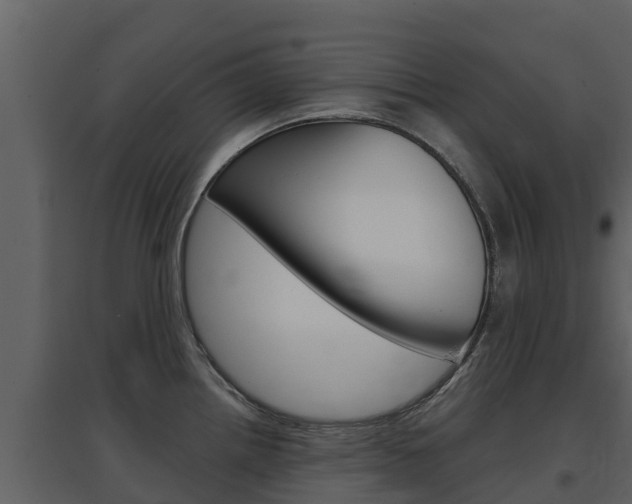 X0000097851242200803140849