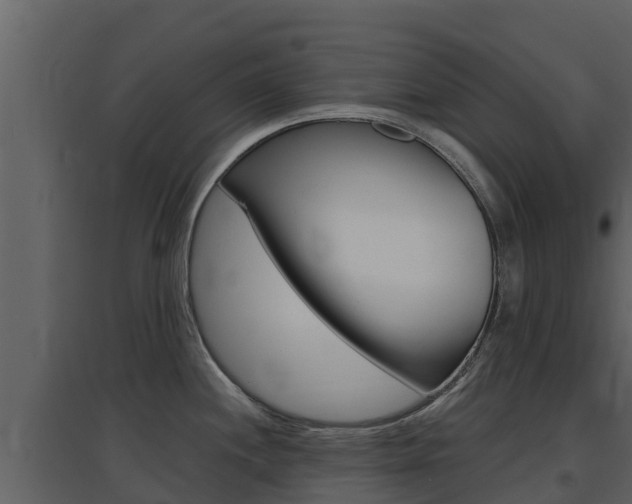 X0000097851244200803140849