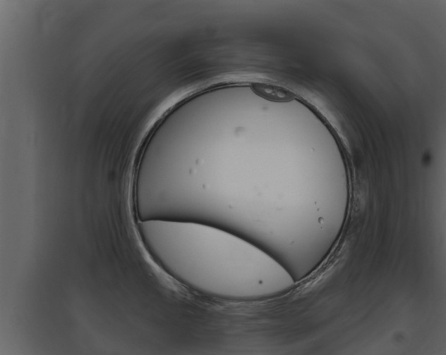 X0000097851245200803140849
