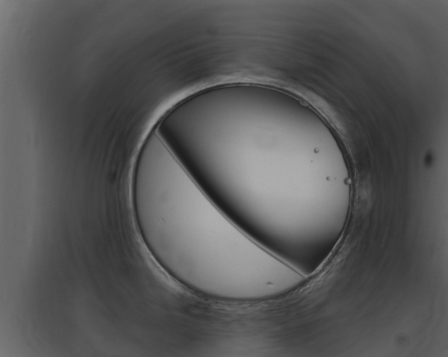 X0000097851246200803140849