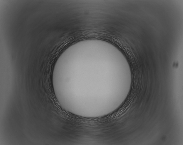 X0000097851249200803140849