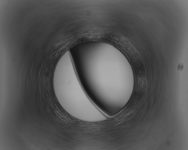X0000097851250200803140849
