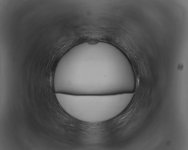 X0000097851251200803140849