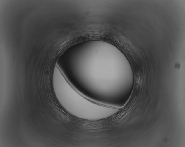 X0000097851252200803140849