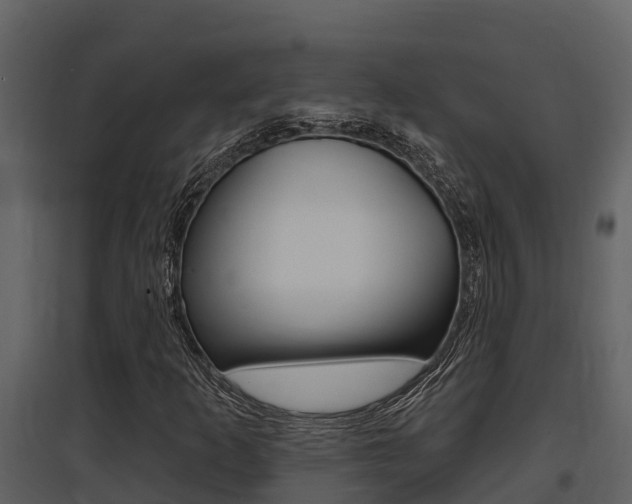 X0000097851253200803140849
