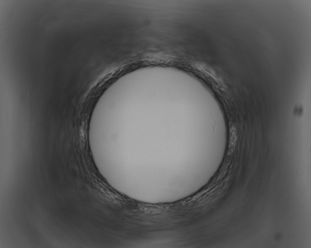 X0000097851254200803140849