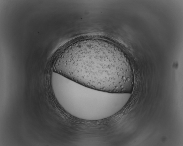 X0000097851255200803140849