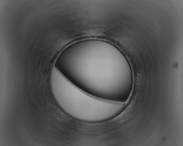 X0000097851257200803140849