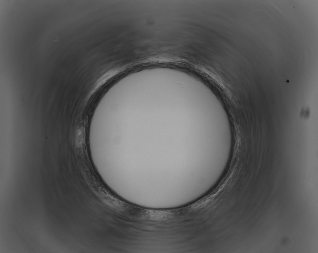 X0000097851258200803140849