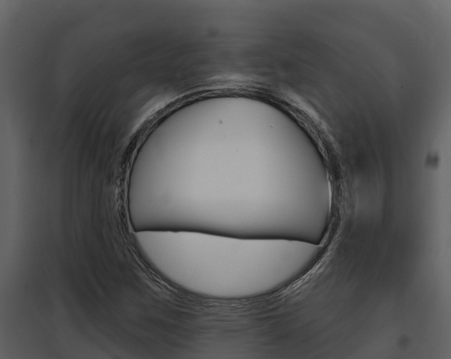 X0000097851259200803140849