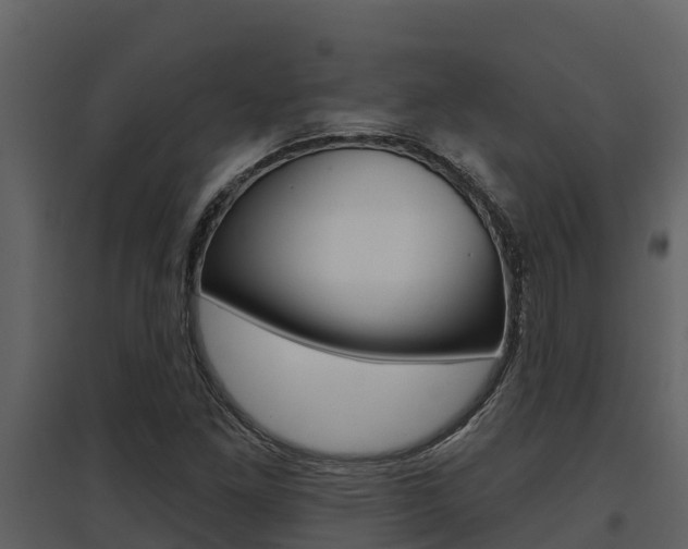 X0000097851261200803140849