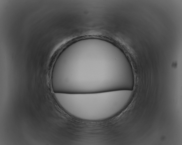 X0000097851262200803140849