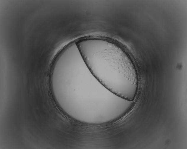 X0000097851263200803140849