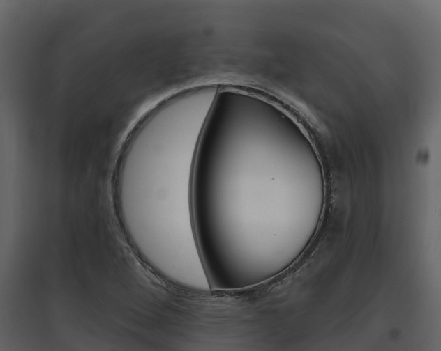 X0000097851264200803140849
