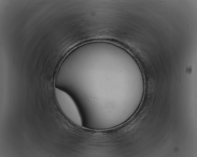 X0000097851265200803140849