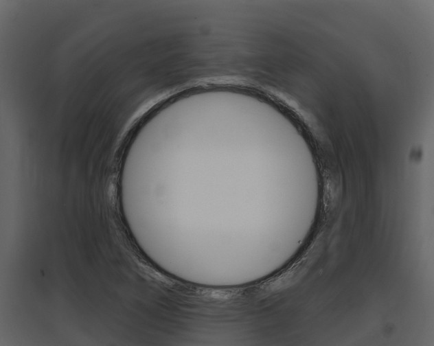 X0000097851266200803140849