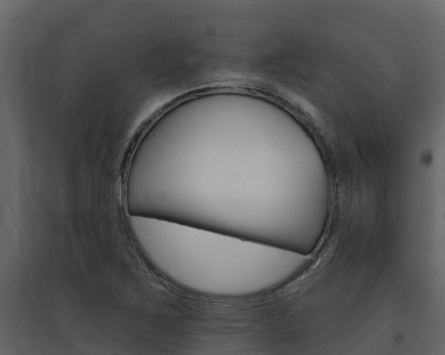 X0000097851267200803140849