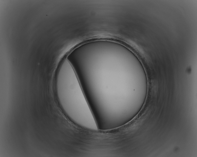 X0000097851269200803140848