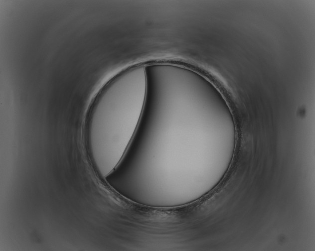 X0000097851270200803140848