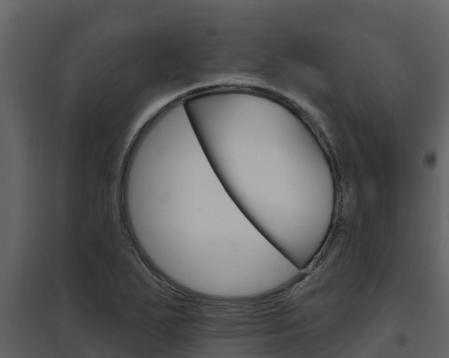 X0000097851271200803140848
