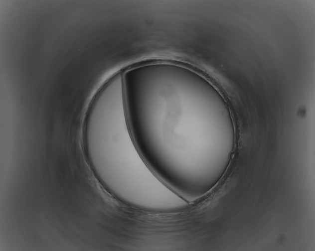 X0000097851272200803140848