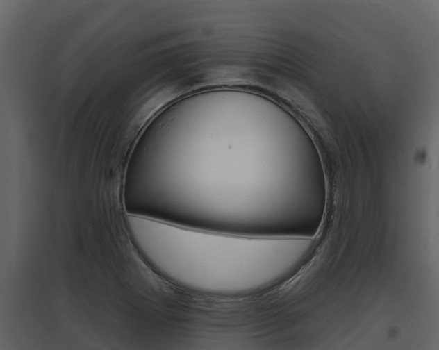 X0000097851273200803140848