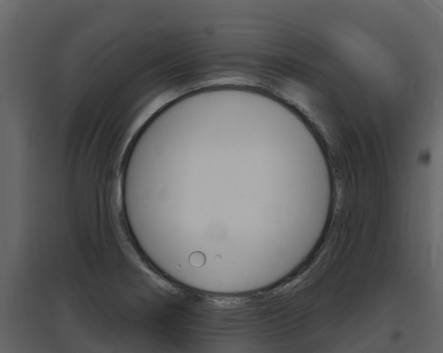 X0000097851274200803140848
