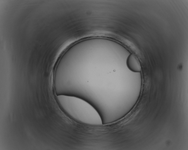X0000097851275200803140848