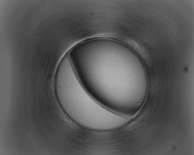 X0000097851276200803140848
