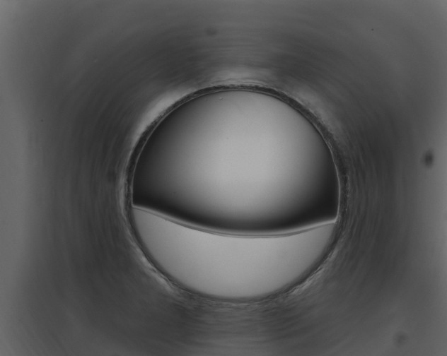 X0000097851277200803140848