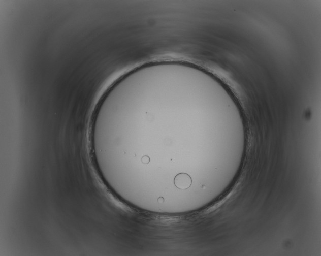 X0000097851278200803140848