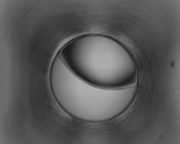 X0000097851280200803140848