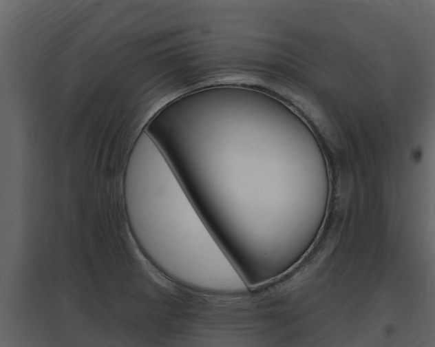 X0000097851281200803140848