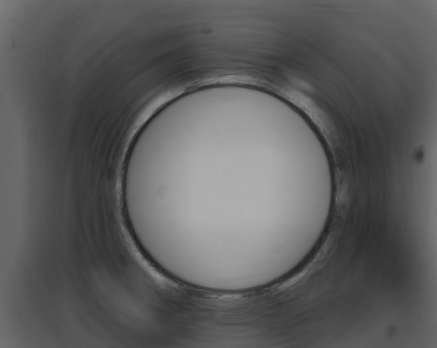 X0000097851282200803140848