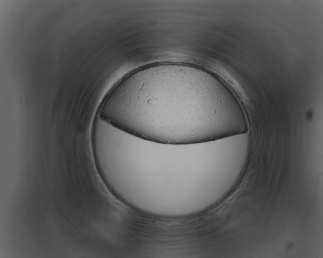 X0000097851283200803140848